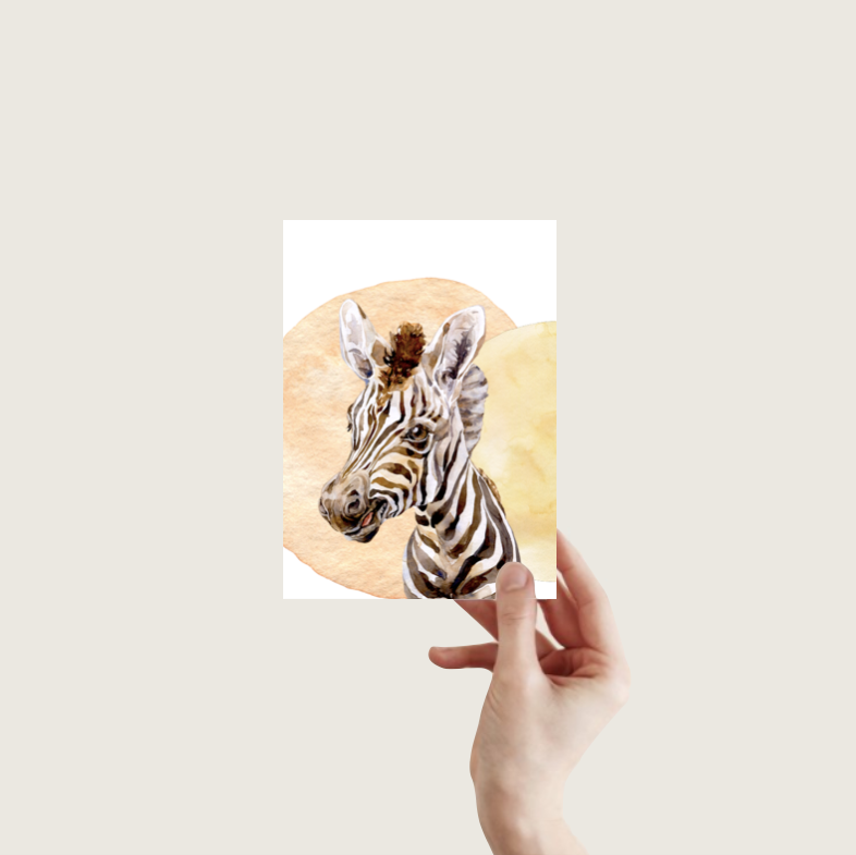 zebra-ansichtkaart-a6
