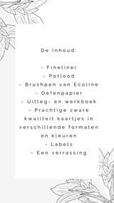 Leren Handletteren Starterspakket