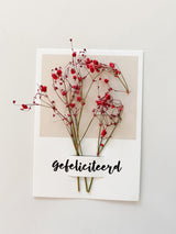 Gefeliciteerd Droogbloemkaart A6