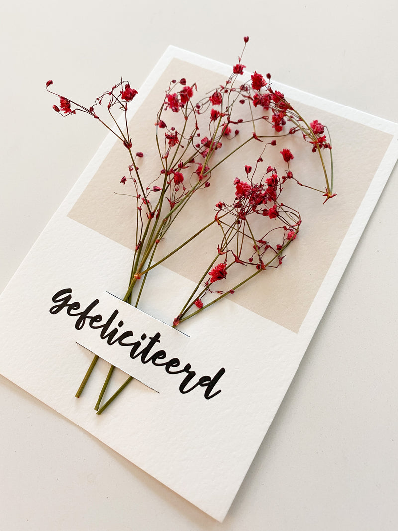 Gefeliciteerd Droogbloemkaart A6